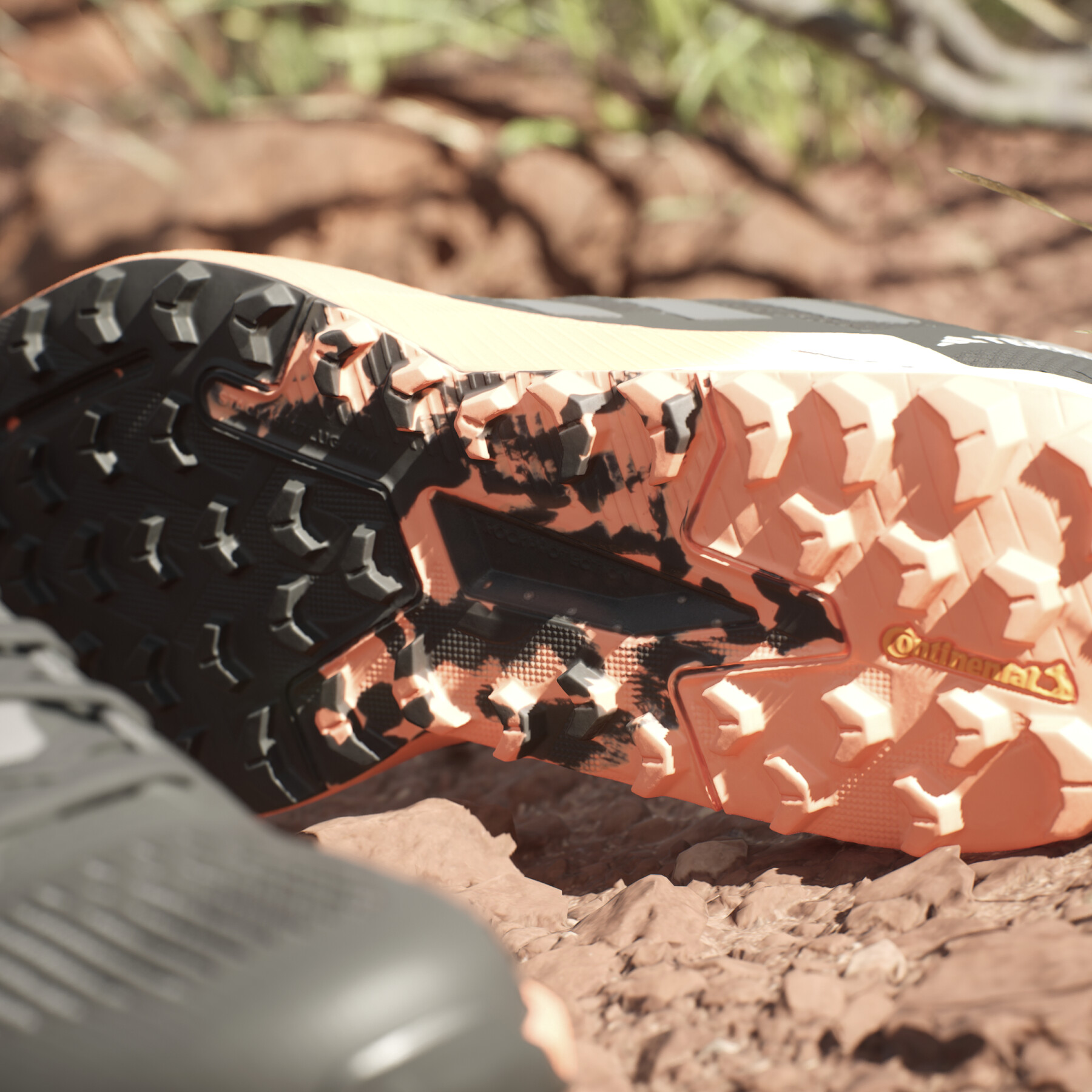 Chaussures de trail femme adidas Terrex Agravic Flow