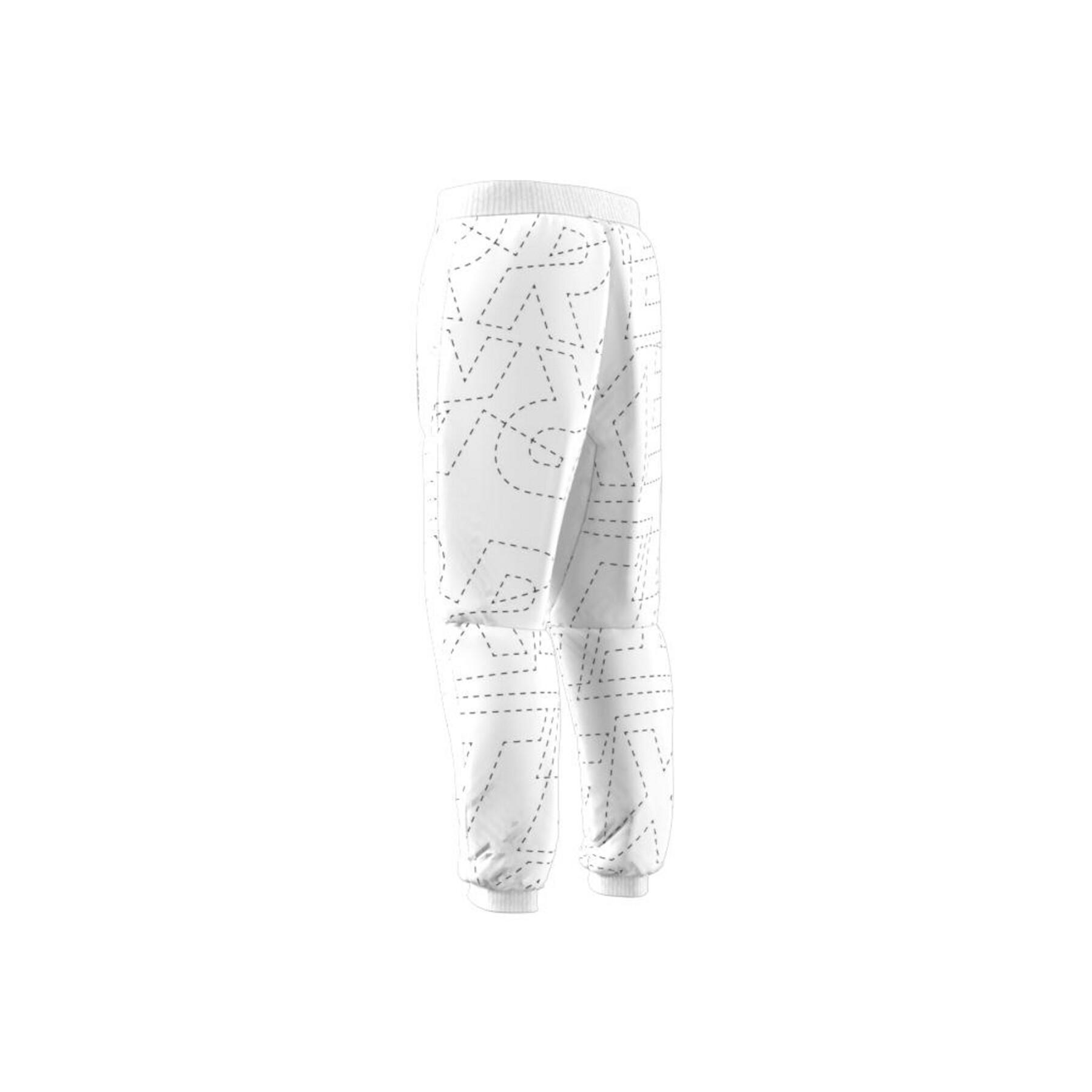 Pantalon adidas Terrex PrimaLoft Padded