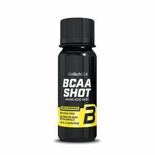 Lot de 20 ampoules d'acides aminés Biotech USA bcaa shot - Lime