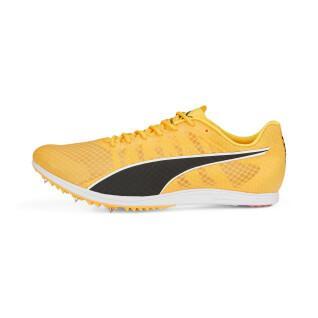 Chaussures d'athlétisme Puma Evospeed Distance 11