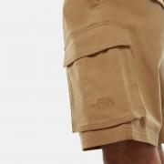 Short The North Face Cargo Anticline