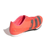Chaussures de running adidas Adizero Middle Distance Spikes