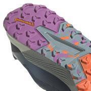 Chaussures de trail adidas Terrex Agravic Flow 2.0 Gore-Tex Trail