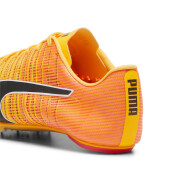 Chaussures d'athlétisme Puma Teamwear evoSPEED Future 6