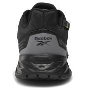 Chaussures de marche femme Reebok Astroride Trail GTX 2.0